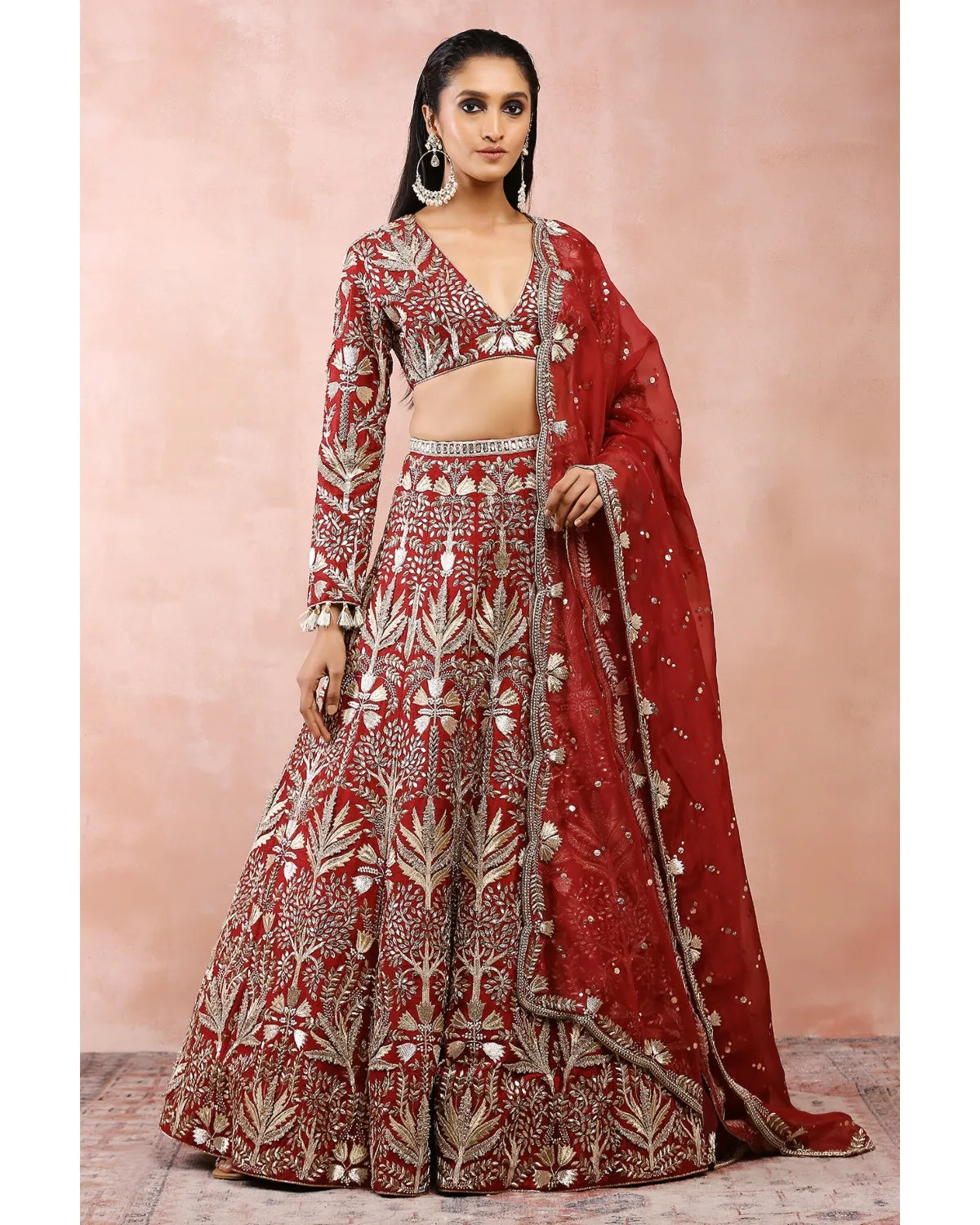 Dark Red Bagh Embroidered Lehenga Set