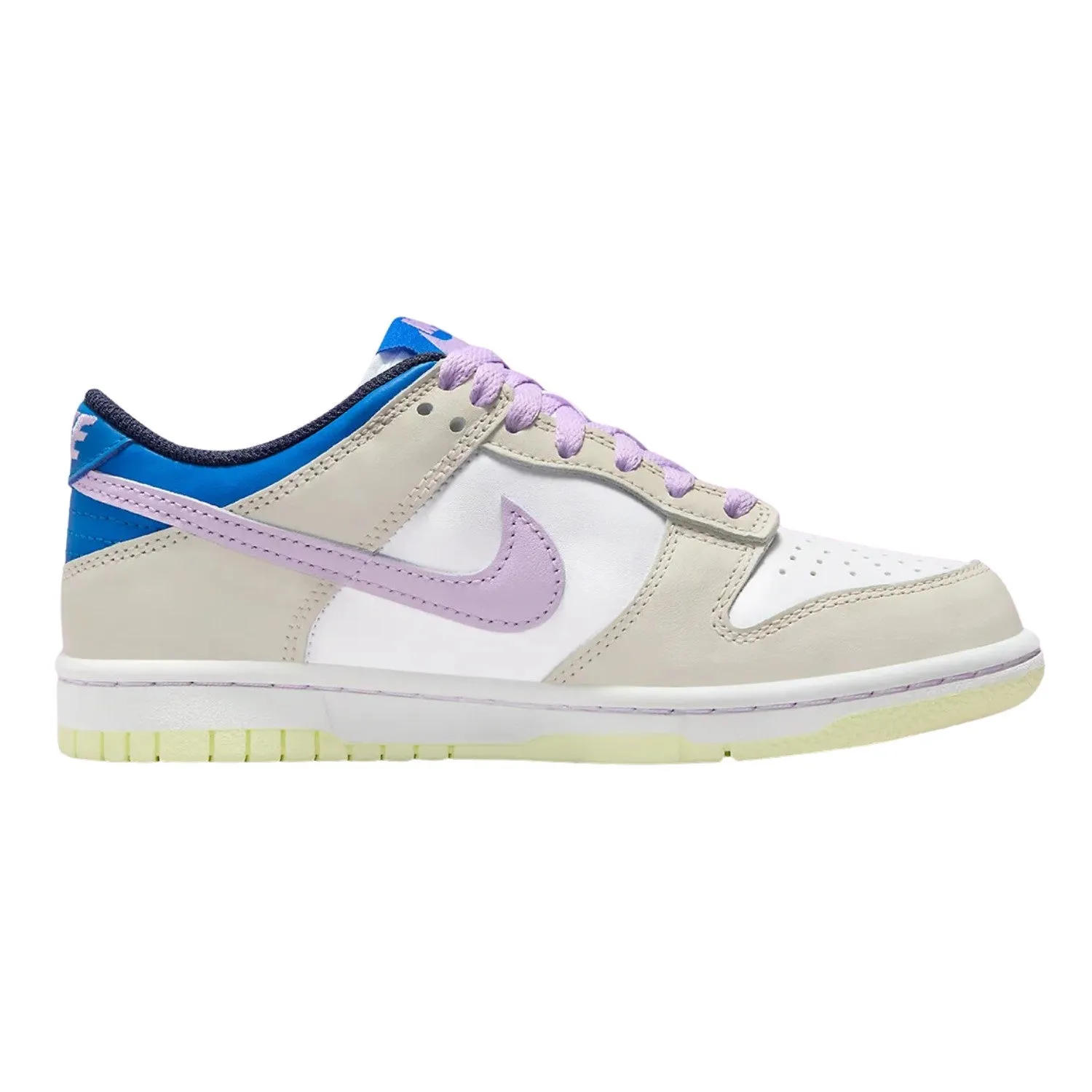 Nike Dunk Low (Gs) Big Kids Style : Fb9109