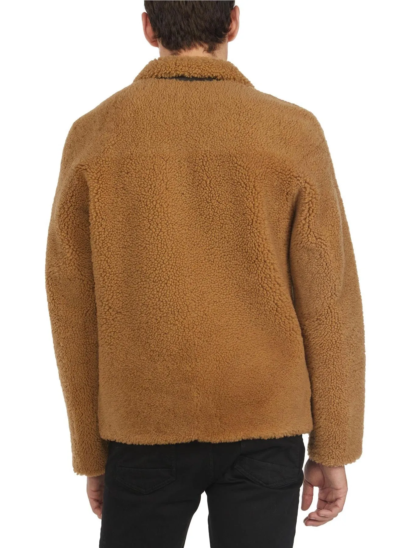 Teddy Men's Sheepskin Coat